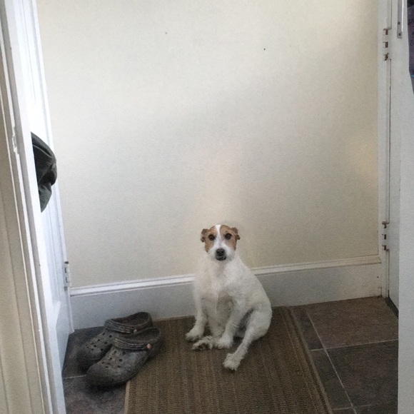 Meet your Posher, Jacqueline - Picture 1 of 1